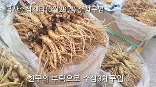 금산분들이면 수삼 구해달라는 지인들이 많죠^^,금산인삼홍삼,금산수삼센타