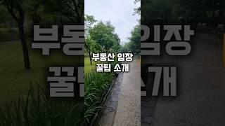 내집마련 부동산임장할때 꿀팁