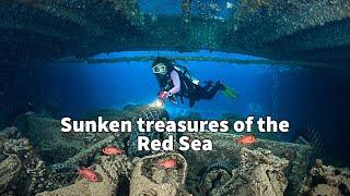 Red Sea Wreck Diving with Carlu Travel