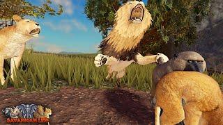 Baboon Stealing Lion Cubs! | ROBLOX Savannah Life