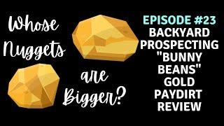 Whose Nuggets Are Bigger?...Episode #23 BYP "Bunny Beans"  #goldpannning #goldpaydirtreviews #gold