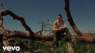 Malcolm Todd - Chest Pain (I Love) (Official Video)