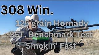 308 Win. 125 grain Hornady SST. Benchmark Powder Testing. Smokin' Fast?