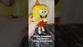 What Is SpongeBob Last Name?! Wrong Answer Only