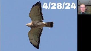 [59] 4,500+ Raptors, Swainson's Hawk, 3 Golden Eagles at the Braddock Bay Hawk Watch, 4/28/24