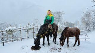 Village Life in A Snowy Day of Winter in Our Village Garden