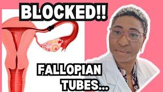 "Clearing the Path to Pregnancy: Understanding the Causes of Blocked Fallopian Tubes"