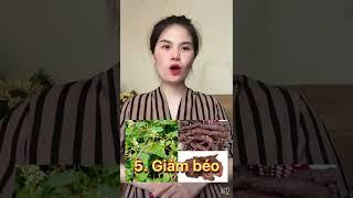 5 công dụng của Hà Thủ Ô