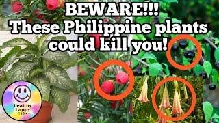 10 DEADLIEST PLANTS IN THE PHILIPPINES