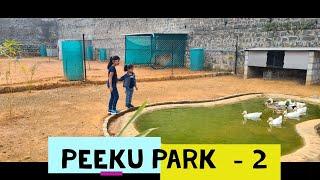 Peeku Park - Yercaud | Birds Park | Ostrich | Ducks | Rabbits | Hens & Roosters