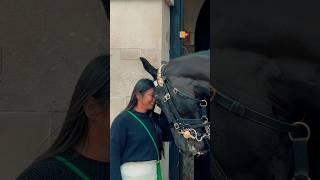 HORSE DISPLAYS HEAD TO HEAD AFFECTION?  | Horse Guards, Royal guard, Kings Guard, Horse, London