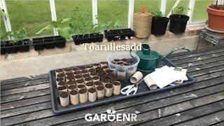 Billigt planteringstips med toarulle - Trädgårdshacks med GardenR