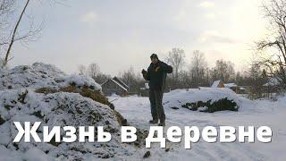 НОВОСТИ хозяйства в деревне! С водой плохо, в остальном ВСЕ ОТЛИЧНО!