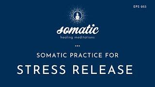 Somatic Practice for Stress Release