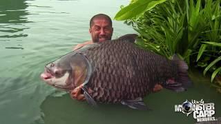 HUGE SIAMESE CARP LANDED at Gillhams, Thailand during Monster carp filming - Ali Hamidi