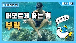 [중1 과학] 2. 여러가지 힘 - 부력