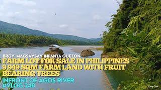 #vlog248 FARM LOT FOR SALE  - 9,949 SQM - 400 PESOS PER SQM LOTS OF FRUIT BEARING TREES - AGOS RIVER