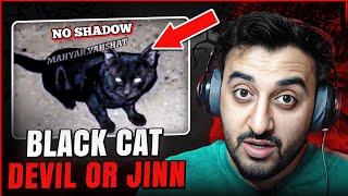 SPOOKY BLACK CAT : DEMON OR JINN || Aamer's Den