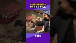 시신과 함께 생활하는 장례 문화가 있다고? #mbc #다큐 #죽음 #장례식