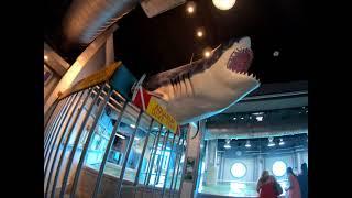 Kemah Boardwalk Aquarium near Houston Texas