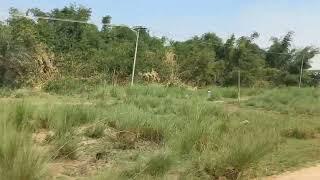 pakistan railway Sargodha to Faisalabad #pakistan