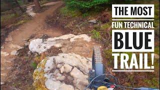 The best blue MTB trail is now open! Riptide at Tarland Trails