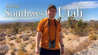 Birding Throughout Southwest Utah for the First Time