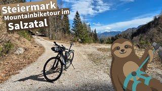 Mountainbike Tour ins Salzatal | Steiermark