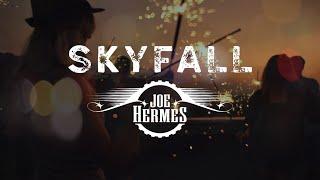 Joe Hermes - Skyfall (Visualizer)