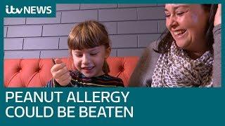 Severe peanut allergy could be overcome by building up tolerance  | ITV News