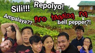 MGA GULAY NA WALA SA BAHAY KUBO SONG w/ Lyrics (Bahay Kubo Version 2.0) WATCH TILL THE END!!!!