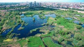 Parcul Natural Vacaresti - Delta Bucurestiului