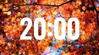 Fall Timer 20 Minutes with Relaxing Music