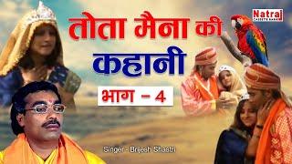 दुनिया की सबसे दर्द भरी कहानी | Tota Maina Ki Kahani Bhag - 4 | Old Story | Natraj Cassette Barhi