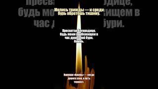Молитва за искреннюю любовь #искренность #любовь #молитвы