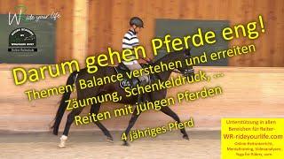 F170 Pferde in Balance reiten lernen, Zäumung, der Sinn des Schenkeldruck, Ausbildung junger Pferde