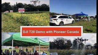 DJI Agras T20 Demo with Pioneer Seeds Corteva Canada