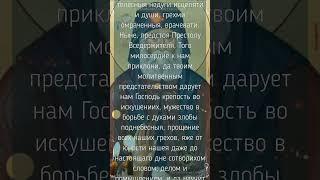 Сильная молитва  Преподобному Паисию Святогорцу об исцелении и прощении грехов.