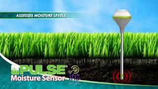 Pulse Moisture Senor - Iris