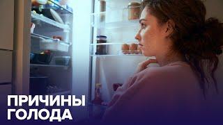 Почему всё время хочется ЕСТЬ? | Доктор 24