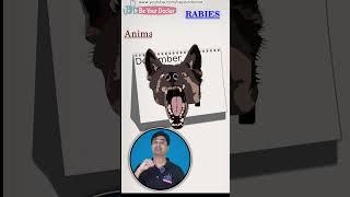 Rabies vaccine schedule | How much rabies vaccine dose given |