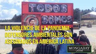 La violencia de la pandemia: defensores ambientales son asesinados en América Latina