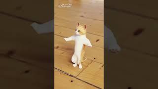 mani mau ch happy new year#shorts #shortvideo #viral #catdance