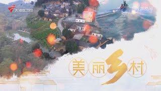 我爱返寻味,湛江廉江特色美食【我爱返寻味2024】