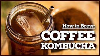 What is KOFFUCHA? How to make Coffee Kombucha ️