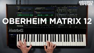 Vintage Oberheim Matrix 12 Analog Synthesizer Sounds