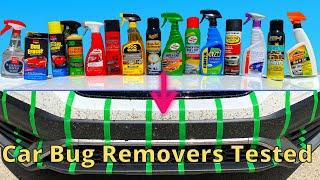Bug Removers for Cars Tested (Before and After Comparisons)