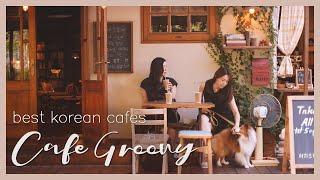 Prettiest book cafe  you'll find in Korea - Cafe Groovy