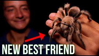 This Friendly Spider Will CURE Your Fear - The Desert Blonde Tarantula!