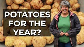 NEVER Dig Potatoes Again! | No dig potato harvest RESULTS | No till potatoes (2022)